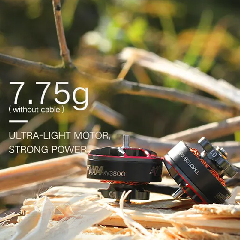 T-Motor F1404 1404 2900 3800 4 – Drone Battery 4S Bewertung und Preis